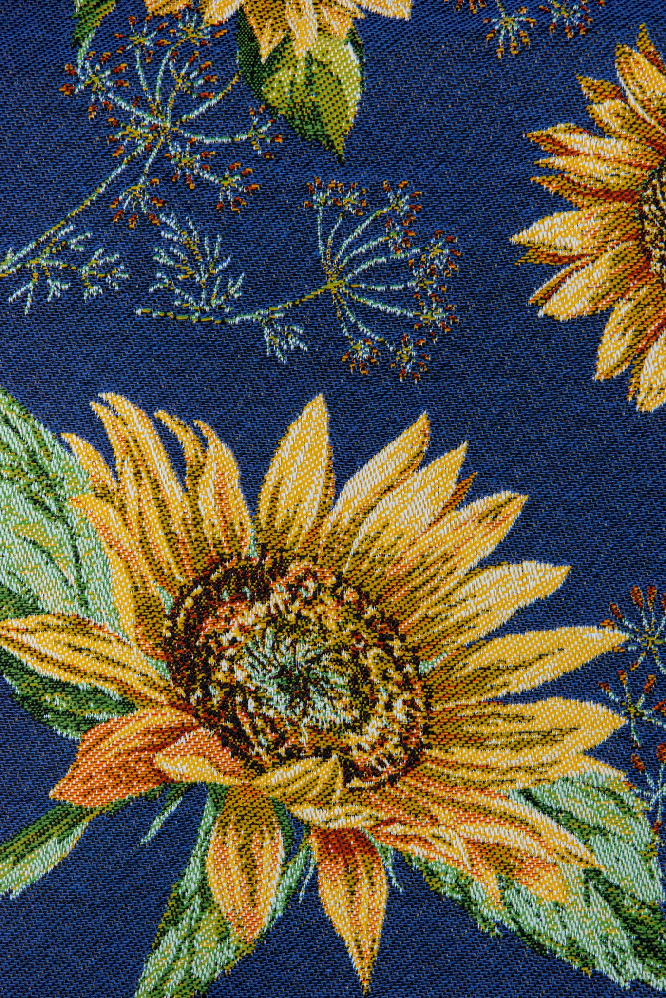 Sunflower azur